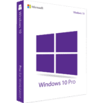 Windows 10 Professional
